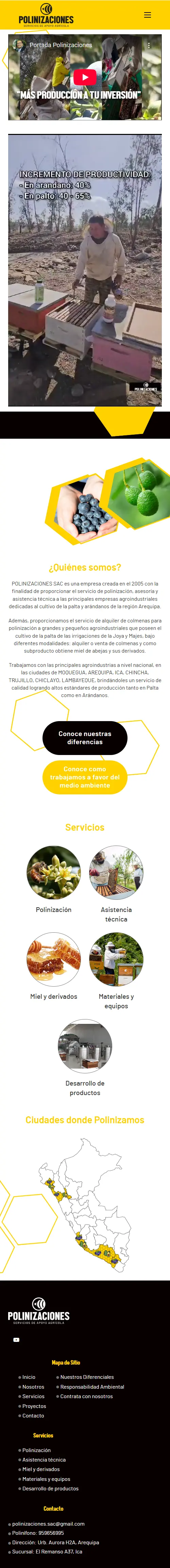 Web Preview