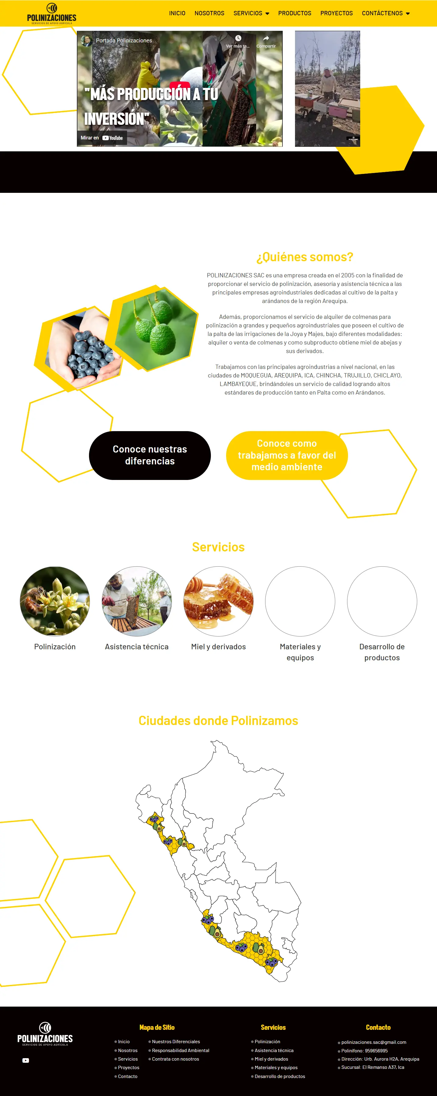 Web Preview